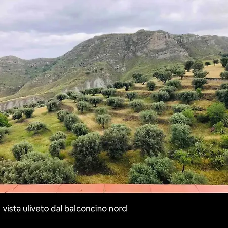 Casa Tra Gli Ulivi A In Reggio Calabria