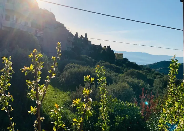 דירה Casa Tra Gli Ulivi A In Reggio Calabria *