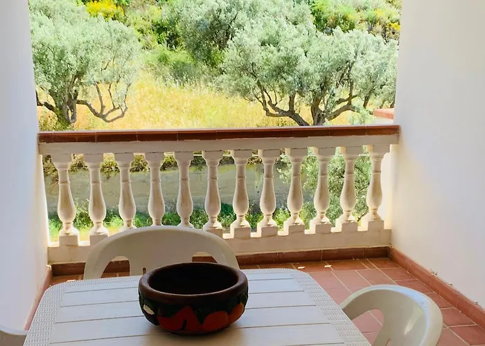 Apartman Casa Tra Gli Ulivi A In Reggio Calabria Motta San Giovanni